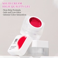 R S Nail Gel de Peinture pour Ongles Sans Résidu, Personnalisable avec Logo, pour Créer Votre Propre Marque