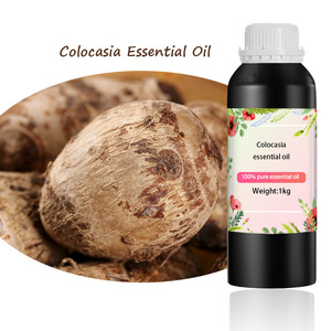 BY Proveedor <span class=keywords><strong>de</strong></span> Aceite <span class=keywords><strong>de</strong></span> <span class=keywords><strong>Colocasia</strong></span> <span class=keywords><strong>de</strong></span> Primera Calidad, Venta al por Mayor a Granel, Aceite Esencial 100% Puro y Natural - Product Image 5