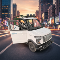 Voiture électrique urbaine moderne BAIMA Raptor Series Red Flag pour adultes, écologique, fabriquée en Chine, véhicule électrique à faible vitesse
