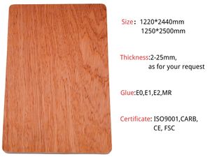 <span class=keywords><strong>Plaque</strong></span> <span class=keywords><strong>de</strong></span> <span class=keywords><strong>contreplaqué</strong></span> Bintangor <span class=keywords><strong>de</strong></span> première qualité E0 <span class=keywords><strong>de</strong></span> 2,5 mm, 3,2 mm, 4,5 mm, 5 mm avec garantie <span class=keywords><strong>de</strong></span> 5 ans pour une construction durable - Product Image 4