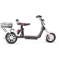 Triciclo para Adultos de Tres Ruedas con Llantas Grandes, Citycoco, Scooter Eléctrico de 3 Ruedas, 3000w 2000w