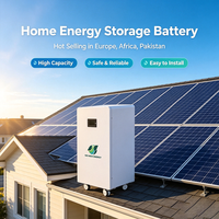 Batterie solaire au lithium LiFePO4 à montage en rack, 51,2 V, 628 Ah, 300 Ah, 15 kWh, 314 Ah, pour système de stockage d'énergie domestique - Offre Spéciale