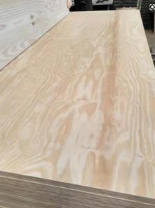 Mejor venta de madera contrachapada de 18mm Proveedor de madera contrachapada Marina <span class=keywords><strong>Precio</strong></span> 3/4 Madera contrachapada de <span class=keywords><strong>abedul</strong></span> ruso - Product Image 3