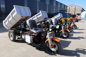 Mini Dumper Triciclo <span class=keywords><strong>de</strong></span> Transporte Minero <span class=keywords><strong>de</strong></span> 1000 kg, <span class=keywords><strong>80</strong></span> cm <span class=keywords><strong>de</strong></span> <span class=keywords><strong>Ancho</strong></span>, Triciclo <span class=keywords><strong>de</strong></span> Transporte Subterráneo en Venta en Perú, Lima - Product Image 6