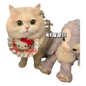 Babero para Mascotas con Diseño de Dibujos Animados, Pañuelo Reutilizable para Perros y Gatos, Accesorio para Fotos de Primavera - Product Image 5