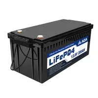 Lithium Iron Phosphate Lifepo4 Battery Pack