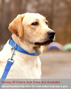 犬の首輪小型犬のためのカスタム反射耐久性のある天然生地エコフレンドリー - Product Image 5