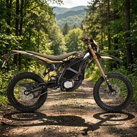 Leistungsstarkes Sur Ron Ultra Bee 24,5KW 74V 60AH Elektro-Dirtbike für Alle Terrains 24500W Schnelles E-Bike Ultra Bee 2026