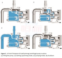 Pompe à eau propre auto-amorçante série ZX à forte aspiration, entraînée par moteur, pour levage d'eau, directement de l'usine, OEM/ODM CE