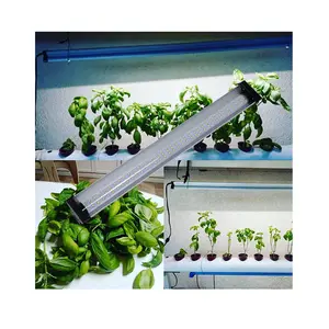 Hydroponics Tăng Trưởng Thực Vật Rohs Full Spectrum Battery Powered Cường Độ Cao Lumen Strip Led Grow Light