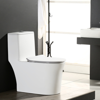 Articles sanitaires modernes allongés en céramique blanche d'une seule pièce WC toilette à domicile pour hôtel