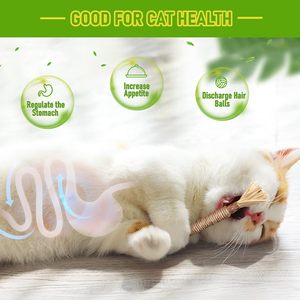 Jouet pour chat en forme de boule en fruits de Polygonum Multiflorum et de raphia Sinensis avec bâtonnet à mordre pour le jeu et l'exercice des molaires - Product Image 3