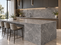 Dalles de marbre gris étoilé pour comptoirs de salle de bain, îlots de cuisine, panneaux muraux, carreaux de sol, vasques en pierre et dessus de table à manger