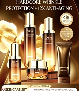 Ensemble de soins anti-âge pour la peau, kit de soins du visage raffermissant, éclaircissant et hydratant, formule innovante haute performance, OEM personnalisé - Product Image 1