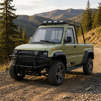 Электрический пикап 4x4 на заказ с грузовым отсеком для перевозки товаров на ранчо, напрямую от производителя