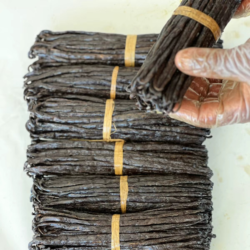 Plump Moist Organic Vanilla Beans Grade