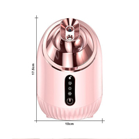 Vaporizador Facial Nano Iónico Ultrasónico para el Hogar, Humidificador con Vapor Frío y Caliente, Atomizador Eléctrico con Tanque de Agua de 240 ml