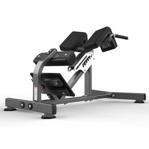 <span class=keywords><strong>Banc</strong></span> d'hyperextension professionnel pour salle <span class=keywords><strong>de</strong></span> sport, équipement <span class=keywords><strong>de</strong></span> musculation, machine <span class=keywords><strong>de</strong></span> développement <span class=keywords><strong>de</strong></span> force avec pile <span class=keywords><strong>de</strong></span> poids <span class=keywords><strong>de</strong></span> 4,5 kg - Product Image 1