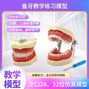 Modèle anatomique d'éducation bucco-dentaire, modèle de gencive souple détachable pour la pratique de la préparation dentaire, modèle dentaire - Product Image 6