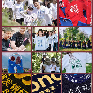 Customizable Cotton Crew Neck T-Shirt 300g Solid Color Short Sleeve For Leisure Workwear Uniforms - Product Image 5