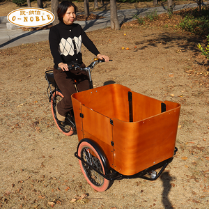 Nouveau tricycle électrique à trois roues à chargement frontal 2026, tricycle pour adultes avec caisse en bois, vélo électrique, <span class=keywords><strong>remorque</strong></span> de transport - Product Image 6