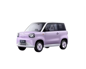 Chine pas cher nouvelle voiture 4 places hayon EV voiture 2024 Zhidou <span class=keywords><strong>arc</strong></span>-<span class=keywords><strong>en</strong></span>-<span class=keywords><strong>ciel</strong></span> 125Km 205Km nouvelle énergie véhicules électriques pour adulte - Product Image 4