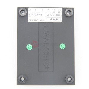 Régulateur de tension E000-24403 AS440 12V 24V 48V automatique CA, marque OEM, pour appareils électroménagers britanniques, moteurs et systèmes solaires - Product Image 3