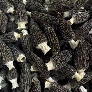 Vente en gros de <span class=keywords><strong>morilles</strong></span> sauvages du Yunnan, les agriculteurs collectent directement de nouveaux produits de qualité spéciale - Product Image 2