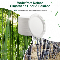 Assiettes en papier compostables, vaisselle jetable biodégradable robuste en bagasse pour collations, desserts, fêtes, mariages