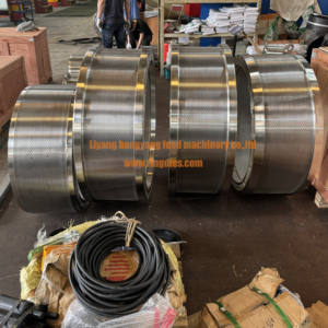 DPBS-520.178 Dphd <span class=keywords><strong>Pellet</strong></span> Molen Voor <span class=keywords><strong>Buhler</strong></span> Dies Reserveonderdelen Korenmolen Machine Reserveonderdelen - Product Image 3