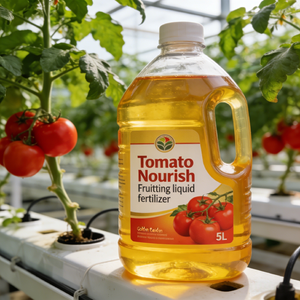 <span class=keywords><strong>Engrais</strong></span> nourrissant à haut rendement pour la fructification des tomates - Améliore la taille des fruits et la qualité du goût - Product Image 2