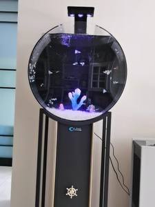 Meest Populair In Aquaria Voor Binnengeschenken Voor Het Nieuwe Jaar Rond Terug Filteren <span class=keywords><strong>Aquarium</strong></span> <span class=keywords><strong>Aquarium</strong></span> <span class=keywords><strong>Aquarium</strong></span> Op Maat <span class=keywords><strong>50</strong></span> <span class=keywords><strong>Liter</strong></span> Jelly Fish Tank - Product Image 4