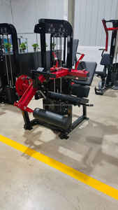 Máquina de Ejercicios para Piernas con Plataforma de Acero para Uso Comercial, Capacidad de Carga de 100 kg, con Precio Competitivo - Product Image 6