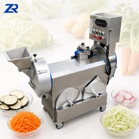 Hoge kwaliteit groente- en fruit-chipsnijder, -snijmachine en -slicer