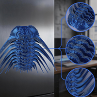 Figurines imprimées en 3D FDM de Trilobite Fossile Aimanté Kettneraspis, Mascotte de Dessin Animé, à Segments Mobiles, pour Collections et Éducation