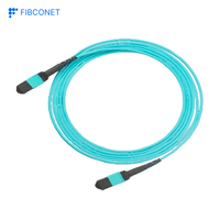 Câble de brassage fibre optique personnalisé 24 fibres OS2 SM MPO vers 2x12 MPO