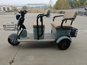 Triciclo Elettrico di Lusso Direttamente dalla Fabbrica, Bicicletta Elettrica <span class=keywords><strong>con</strong></span> Tettuccio, Triciclo Elettrico per Bambini - Product Image 4