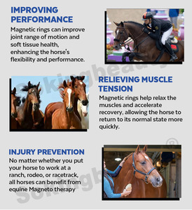 Distributeur recherché pour appareil de bien-être PEMF pour le massage sportif équin, la thérapie et la physiothérapie animale. - Product Image 3