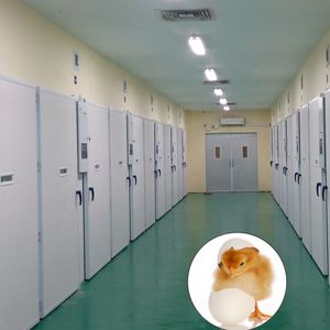 Sistema de Incubación a Gran Escala, Incubadora Automática, Carro de Huevos para Equipos de Incubación, Equipo para Granjas Avícolas de Pollos - Product Image 6