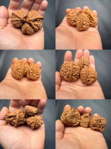 Nueces de nogal de forma especial triplemente unidas Wild Ox, adornos culturales coleccionables y regalos de negocios, arte oriental <span class=keywords><strong>para</strong></span> la punta de los dedos - Product Image 2