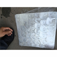 Dalle de mosaïque en coquille de Capiz naturelle de style moderne DTH STONE pour la décoration intérieure, les meubles DIY, les murs et le parquet – Qualité supérieure