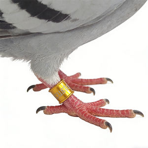 Bagues de pied personnalisées en aluminium pour pigeons et perroquets, prix usine, avis clients - Product Image 2
