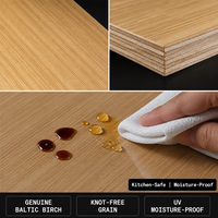 Contrachapado de Abedul Báltico Transparente Texturizado de 3/9/18 mm, Panel Ecológico con Acabado UV para Decoración de Muebles de Cocina y Hogar