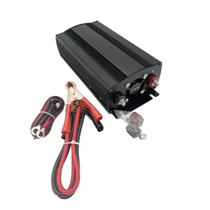 Factory price 500W pure sine wave inverter 1000W peak power for home supply