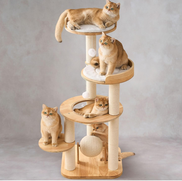 Classic Eco Friendly Solid Wood Cat