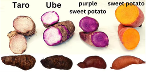 50g di alta qualità lattina di latta OEM viola Yam in polvere tubo pressato a freddo Poudre integratore vitaminico per uso alimentare - Product Image 6