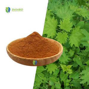 SLBIO Tedarik Çalı Özü <span class=keywords><strong>Urtica</strong></span> <span class=keywords><strong>Dioica</strong></span> 10:1 Gıda Sınıfı Çalı Yaprağı Ekstresi Tozu - Product Image 1