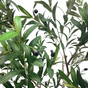 Arbre d'<span class=keywords><strong>olivier</strong></span> en plastique multi-tiges de qualité supérieure, écologique, durable, conçu pour une utilisation permanente en intérieur et en extérieur, pour la maison, le jardin, le bureau, les mariages - Product Image 6