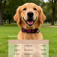 Collier Moderne Rayé 100% Nylon pour Chiens et Chats - Conception Détachable Durable et Réglable, Léger, Respirant, Décoratif et Réfléchissant