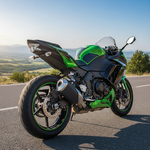 Plaquettes de frein arrière OEM 43082-0055 pour Kawasaki Ninja ZX-6R <span class=keywords><strong>Z900</strong></span> <span class=keywords><strong>Z800</strong></span>, plaquettes de frein à disque de moto haute performance sinterisées - Product Image 2